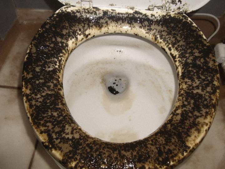 黒ずみ付着前の便器